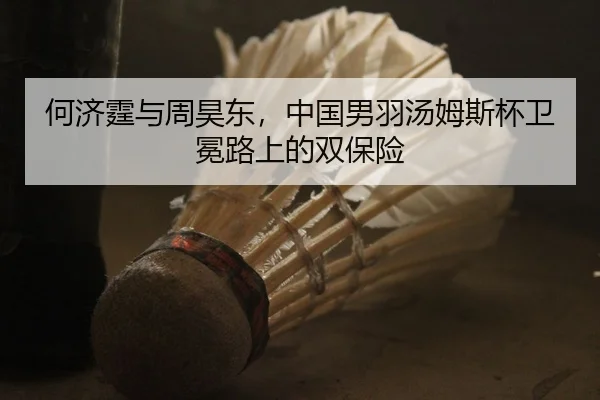 何济霆与周昊东，中国男羽汤姆斯杯卫冕路上的双保险